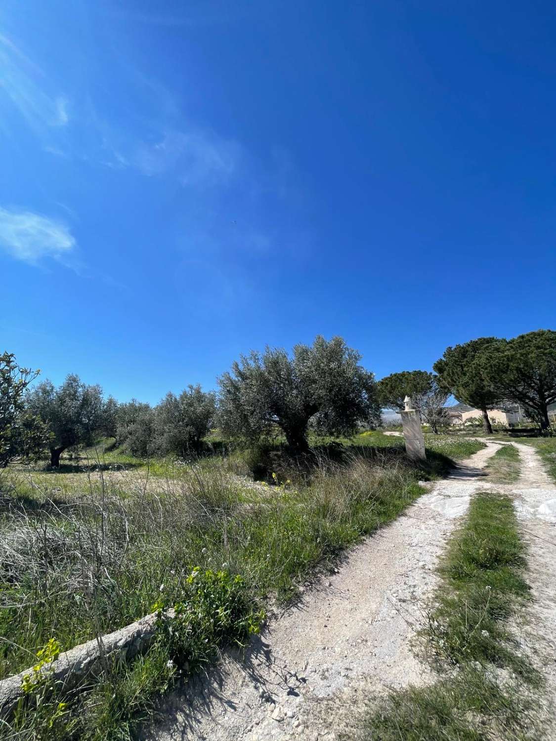 Stunning house with 12,766 m2 land in Velez Blanco with amazing views