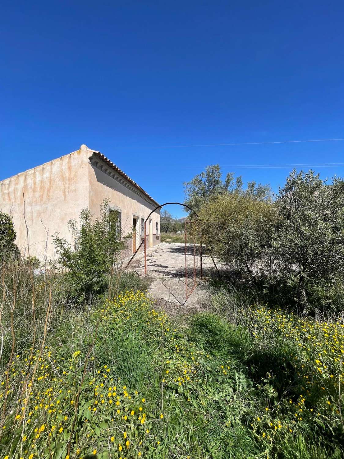 Stunning house with 12,766 m2 land in Velez Blanco with amazing views