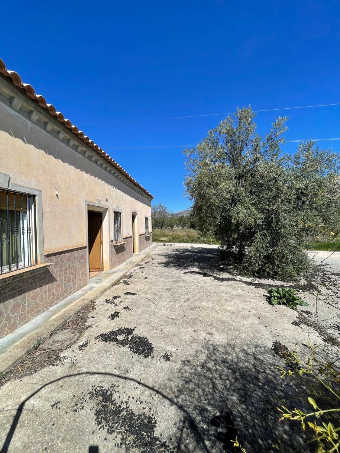 Stunning house with 12,766 m2 land in Velez Blanco with amazing views