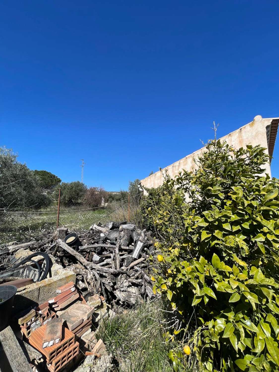 Stunning house with 12,766 m2 land in Velez Blanco with amazing views