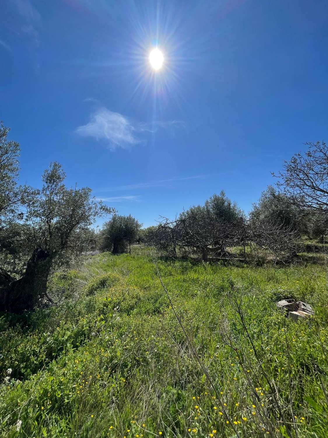 Stunning house with 12,766 m2 land in Velez Blanco with amazing views