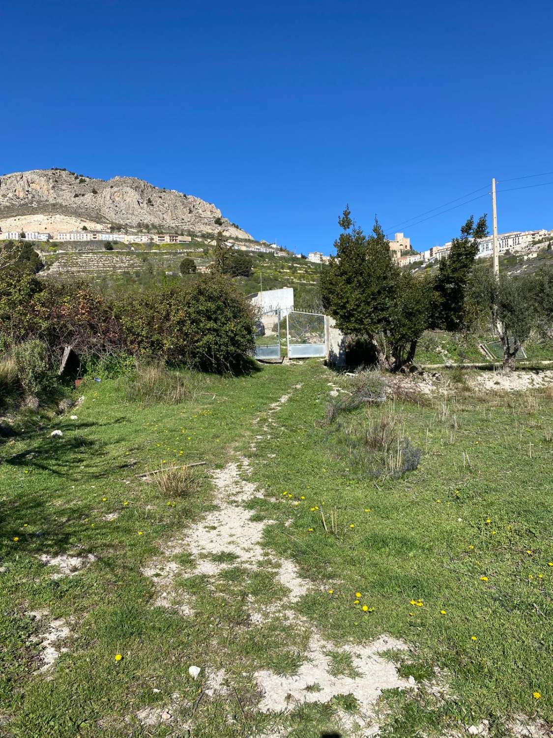 Land of 9,517m2 with 2 dwellings. Amazing views on edge of Velez Blanco town