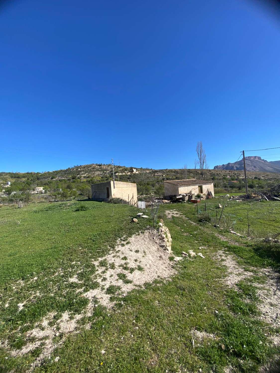 Land of 9,517m2 with 2 dwellings. Amazing views on edge of Velez Blanco town