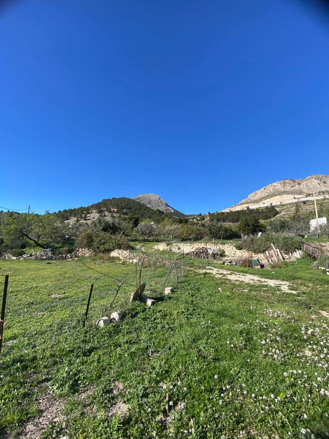 Land of 9,517m2 with 2 dwellings. Amazing views on edge of Velez Blanco town