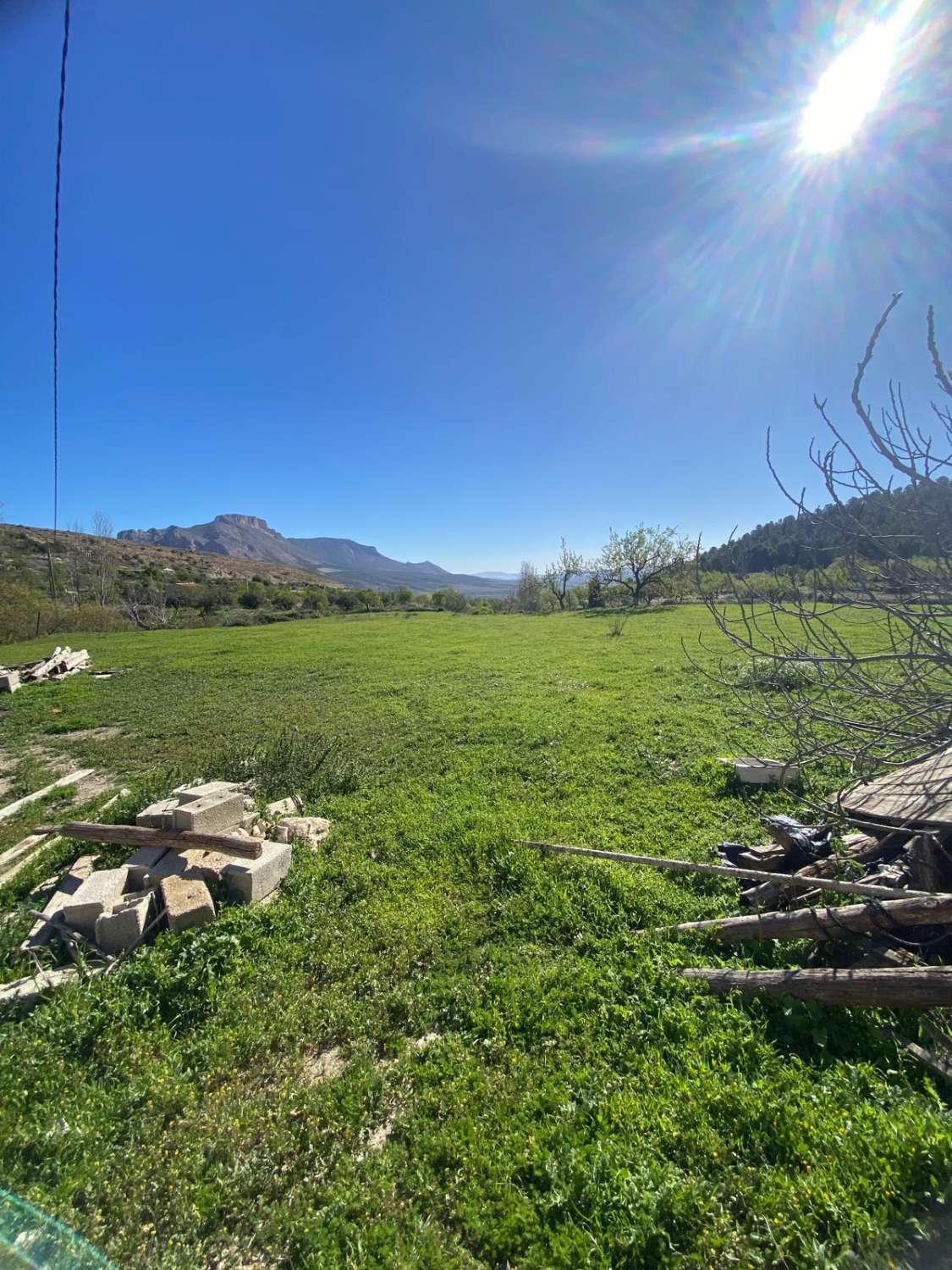 Land of 9,517m2 with 2 dwellings. Amazing views on edge of Velez Blanco town