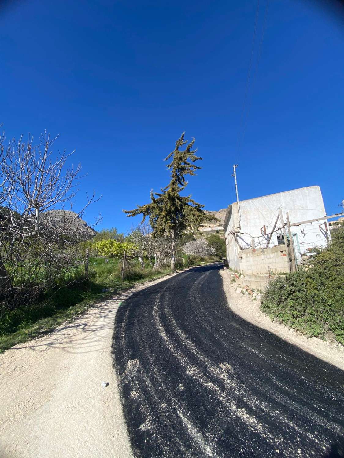 Land of 9,517m2 with 2 dwellings. Amazing views on edge of Velez Blanco town