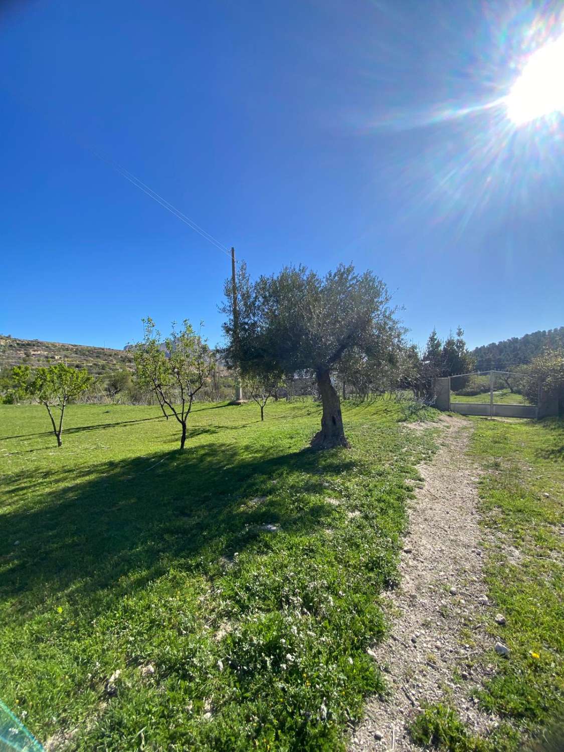 Land of 9,517m2 with 2 dwellings. Amazing views on edge of Velez Blanco town