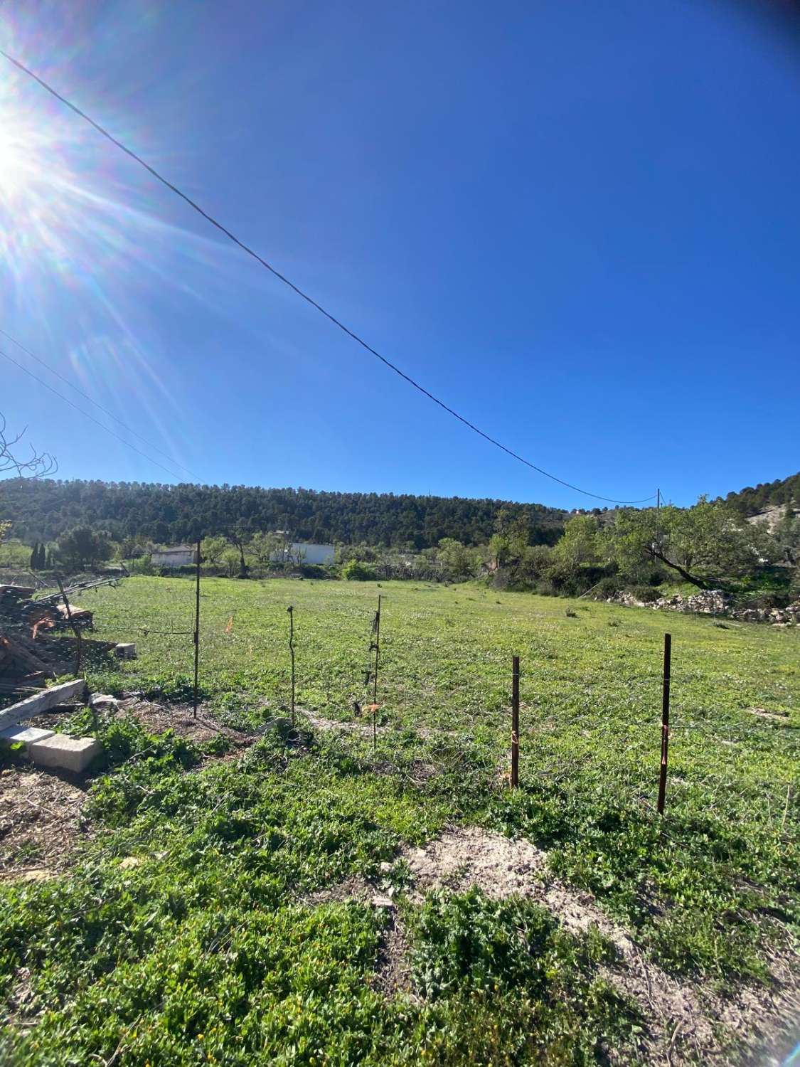 Land of 9,517m2 with 2 dwellings. Amazing views on edge of Velez Blanco town