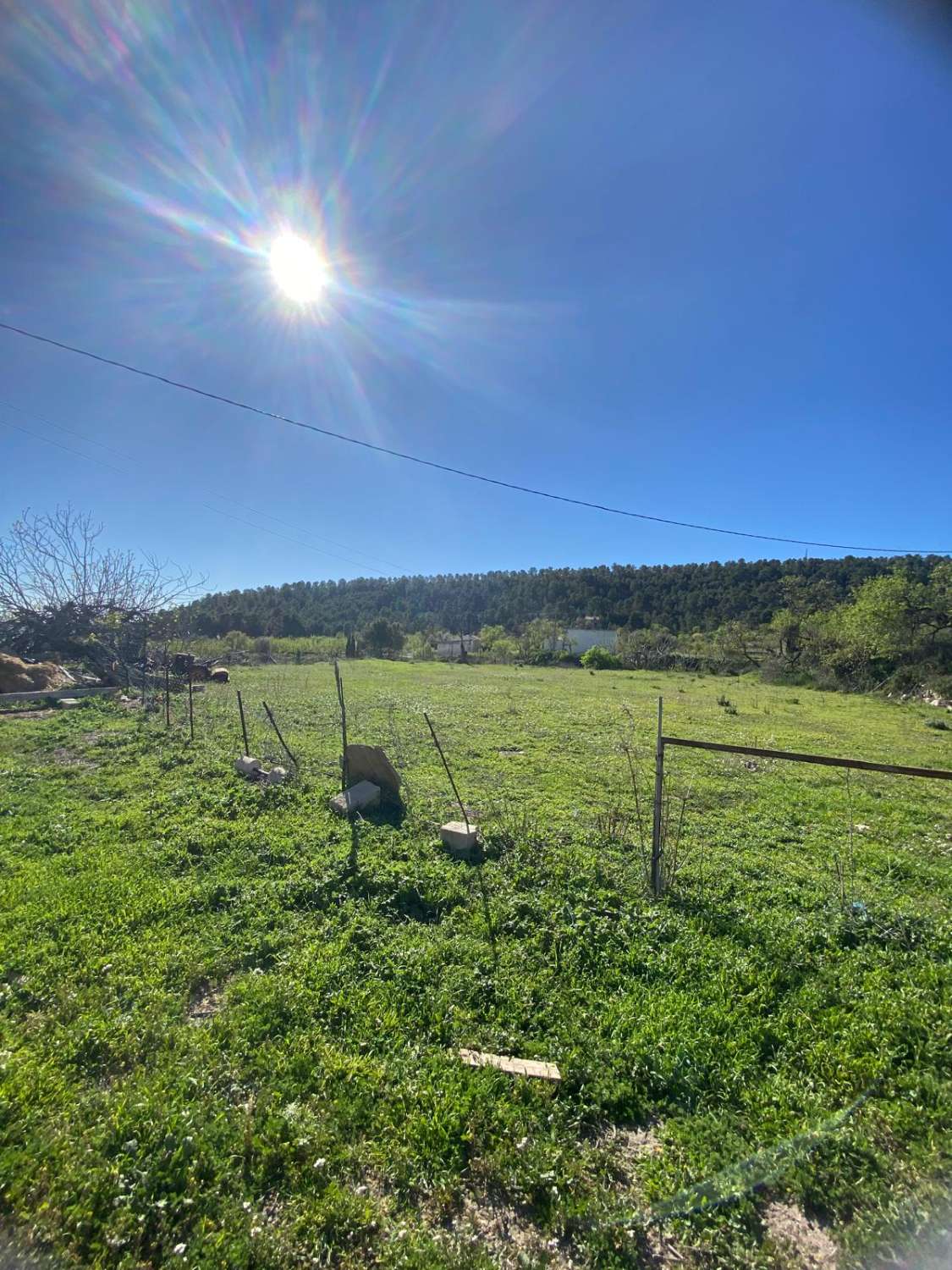 Land of 9,517m2 with 2 dwellings. Amazing views on edge of Velez Blanco town