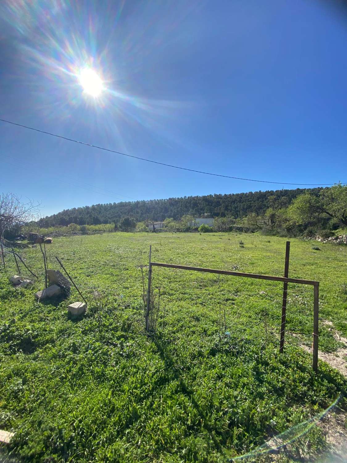 Land of 9,517m2 with 2 dwellings. Amazing views on edge of Velez Blanco town