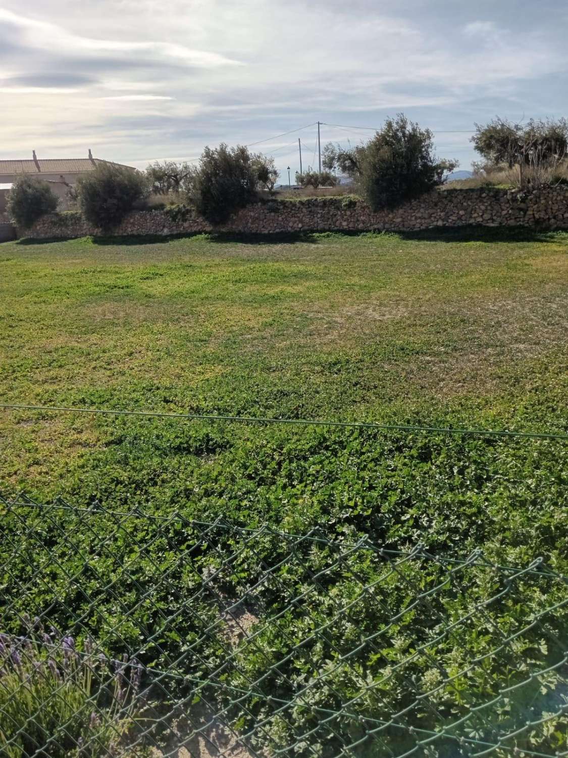 Immaculate 3 Bedroom,3 bedroom Villa in Oria with outside space in heart of Oria