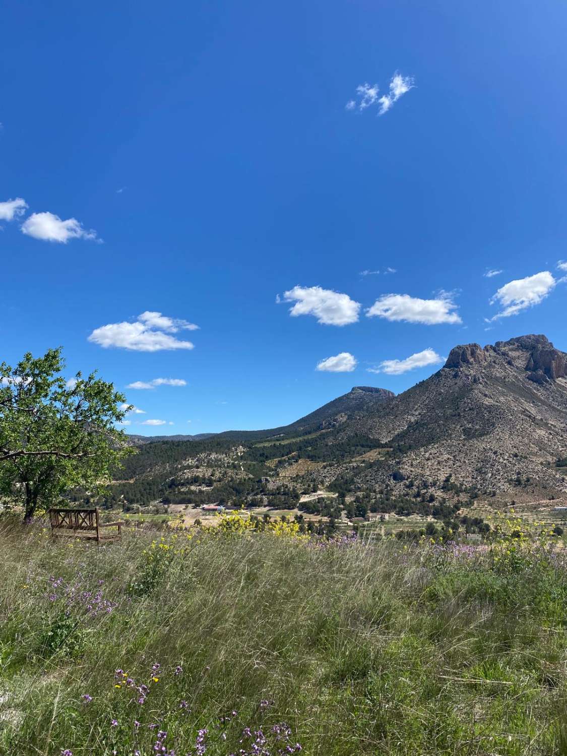 Amazing 4 bed, 3 bed, Villa In Velez Blanco with amazing views and 30,000 m2 of Land