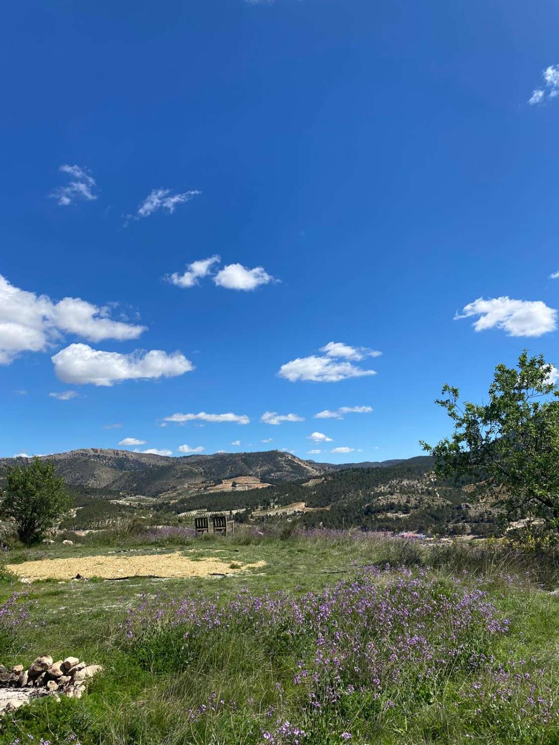 Amazing 4 bed, 3 bed, Villa In Velez Blanco with amazing views and 30,000 m2 of Land