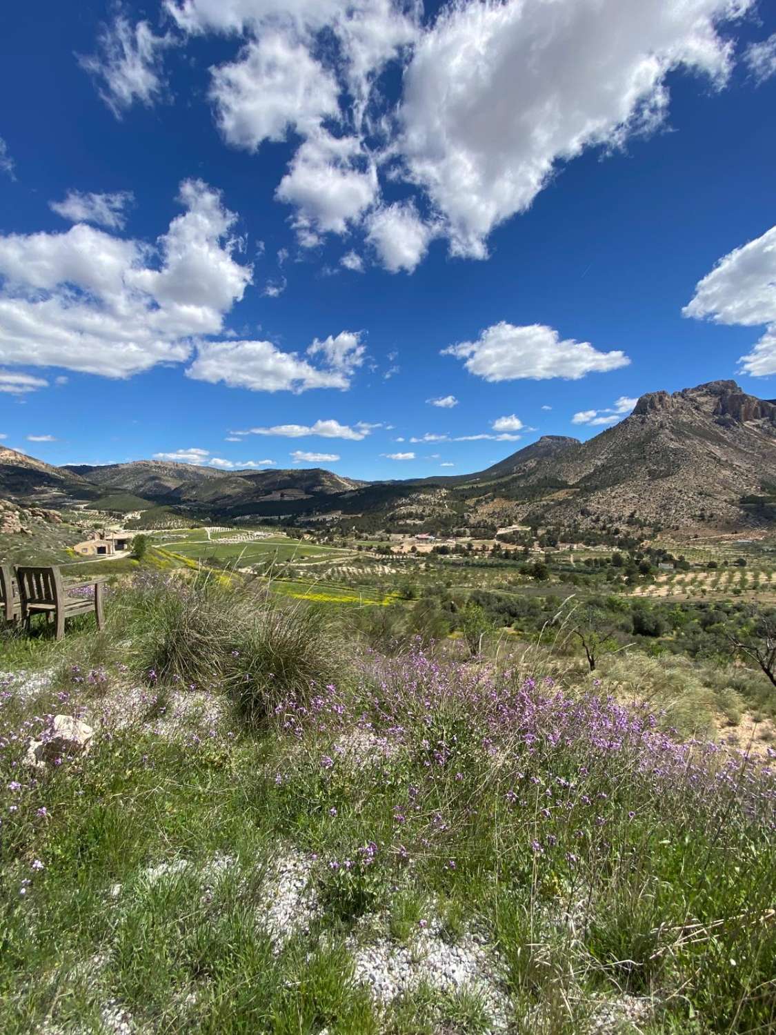 Amazing 4 bed, 3 bed, Villa In Velez Blanco with amazing views and 30,000 m2 of Land