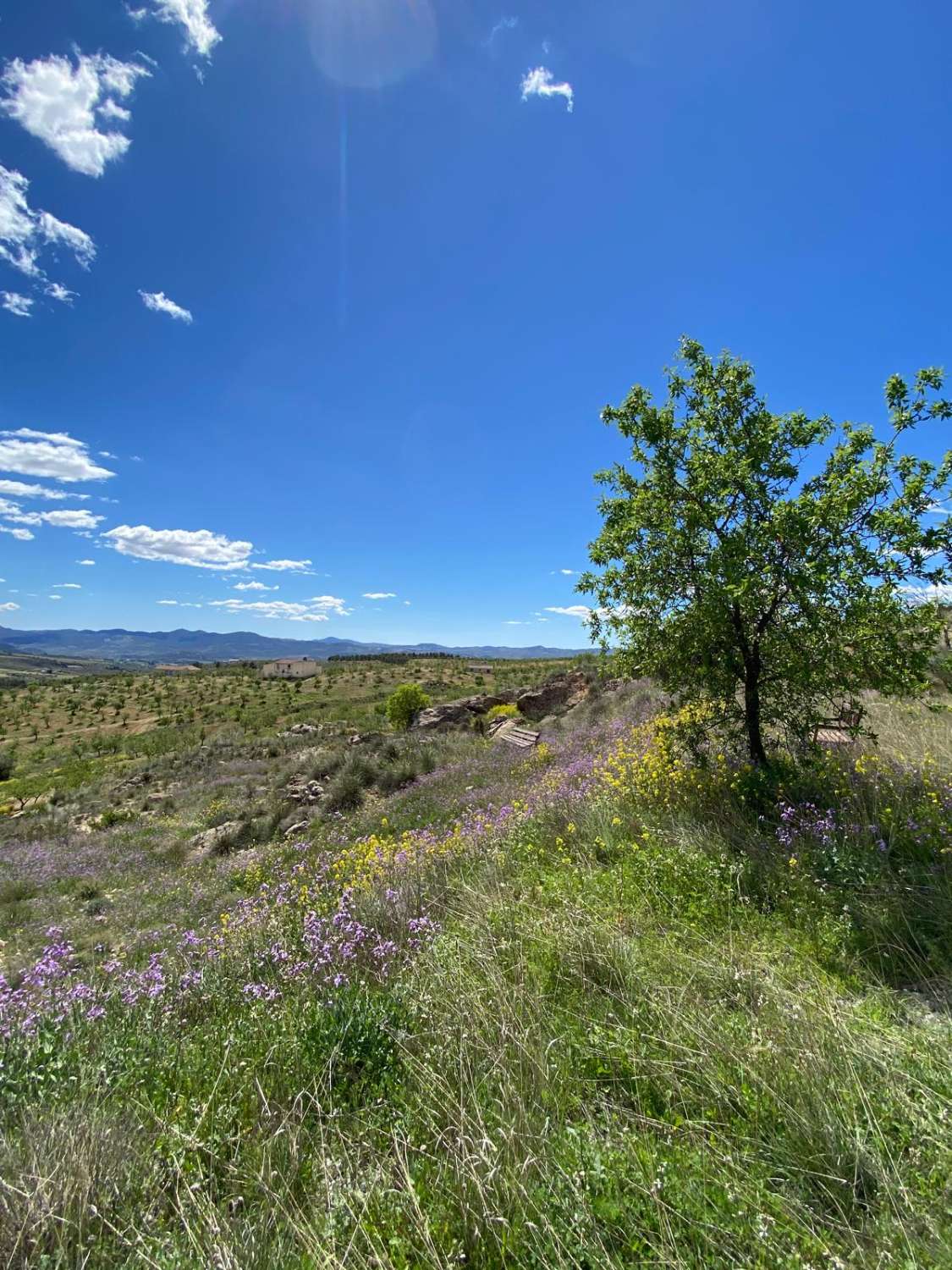 Amazing 4 bed, 3 bed, Villa In Velez Blanco with amazing views and 30,000 m2 of Land