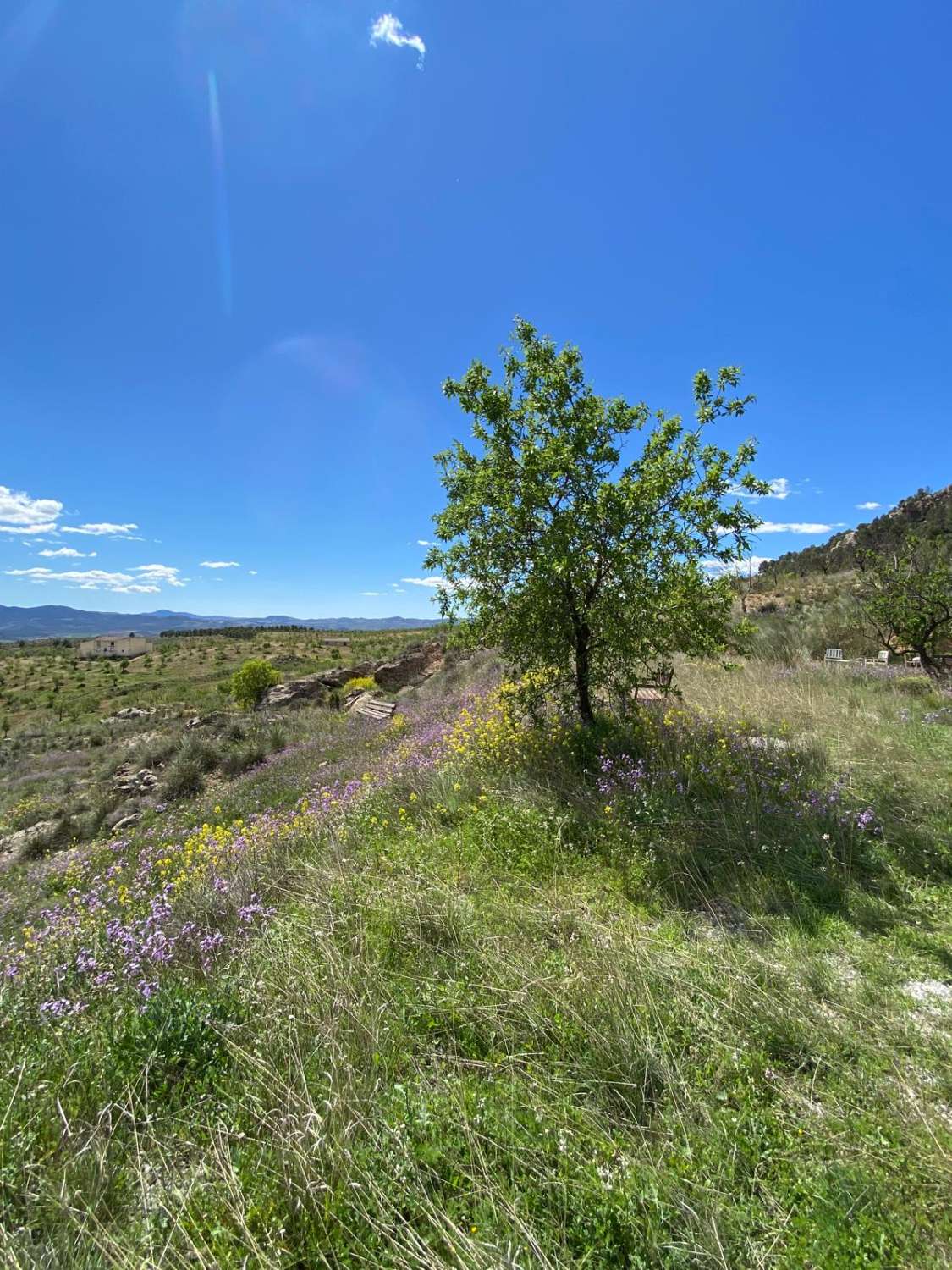 Amazing 4 bed, 3 bed, Villa In Velez Blanco with amazing views and 30,000 m2 of Land