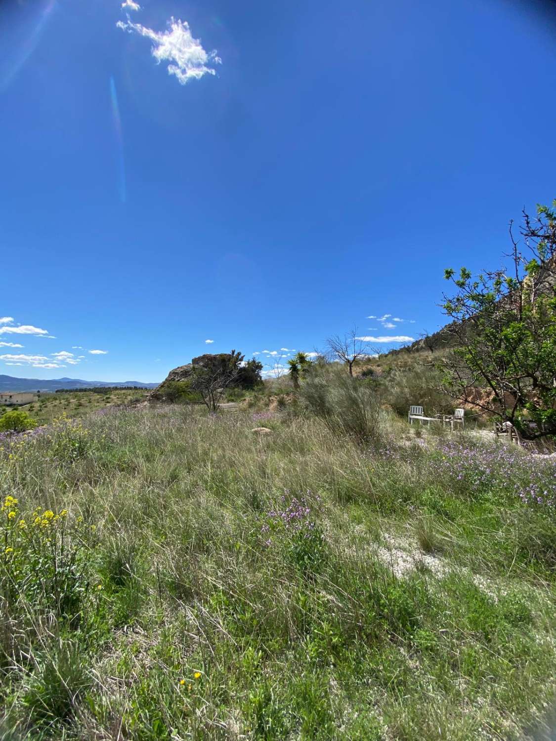 Amazing 4 bed, 3 bed, Villa In Velez Blanco with amazing views and 30,000 m2 of Land