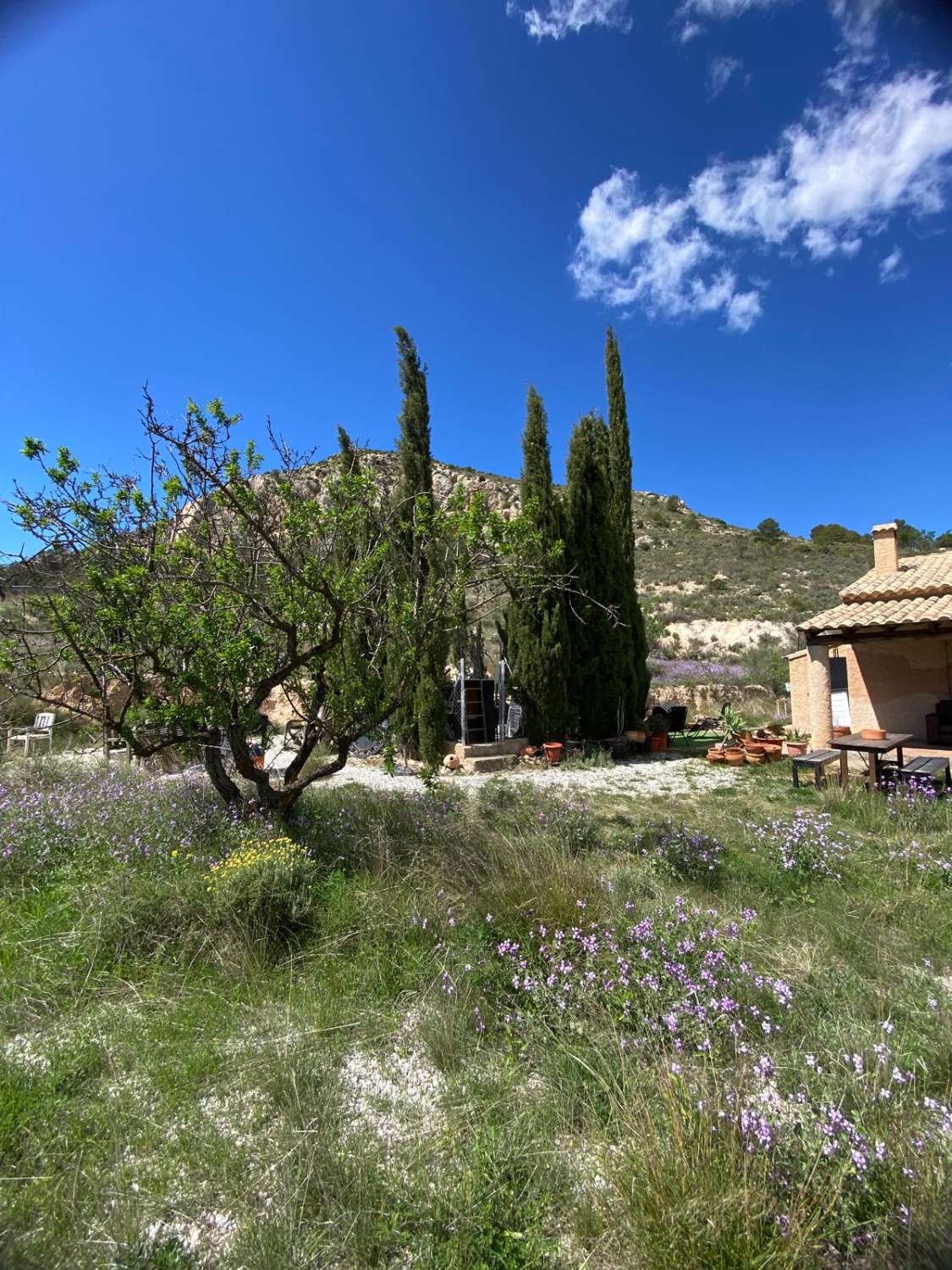 Amazing 4 bed, 3 bed, Villa In Velez Blanco with amazing views and 30,000 m2 of Land