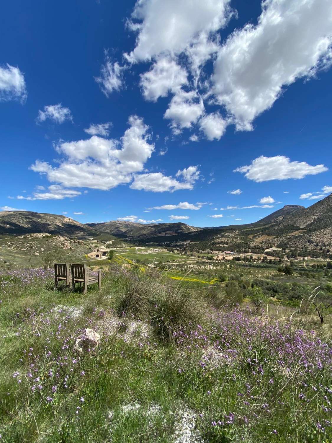 Amazing 4 bed, 3 bed, Villa In Velez Blanco with amazing views and 30,000 m2 of Land