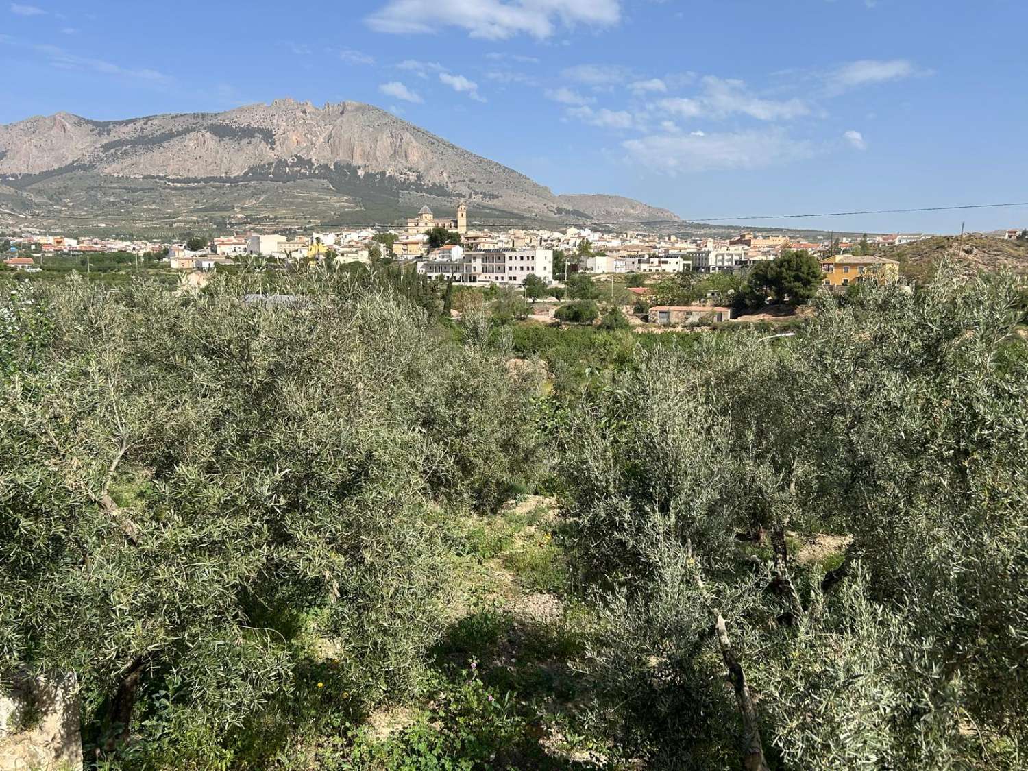 Stunning 6 bed, 3 bath house in Velez Rubio with outside courtyard and terrace