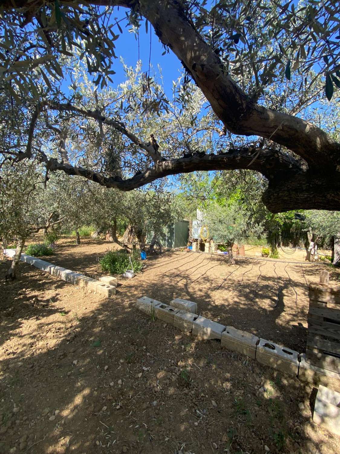 Cortijo with 2 bedrooms and a separate Casita, land and pool