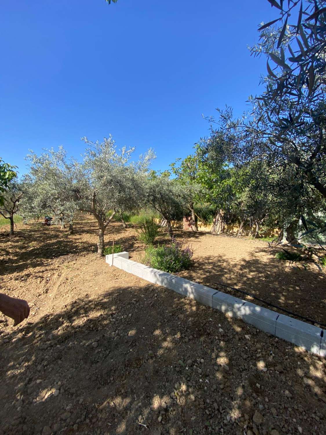 Cortijo with 2 bedrooms and a separate Casita, land and pool
