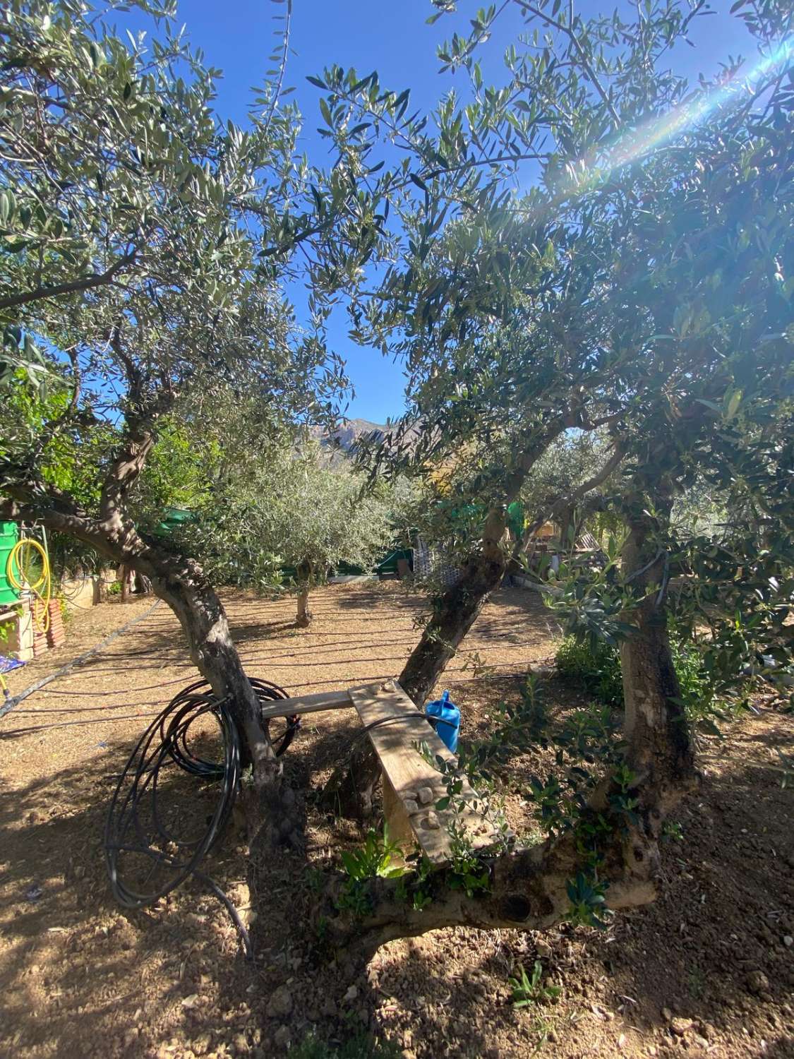 Cortijo with 2 bedrooms and a separate Casita, land and pool