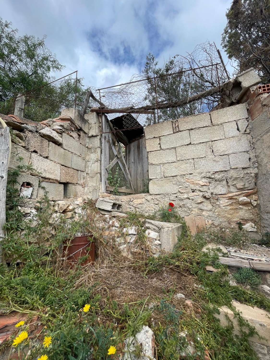 4 bed, 2 bath house with land going up into mountain