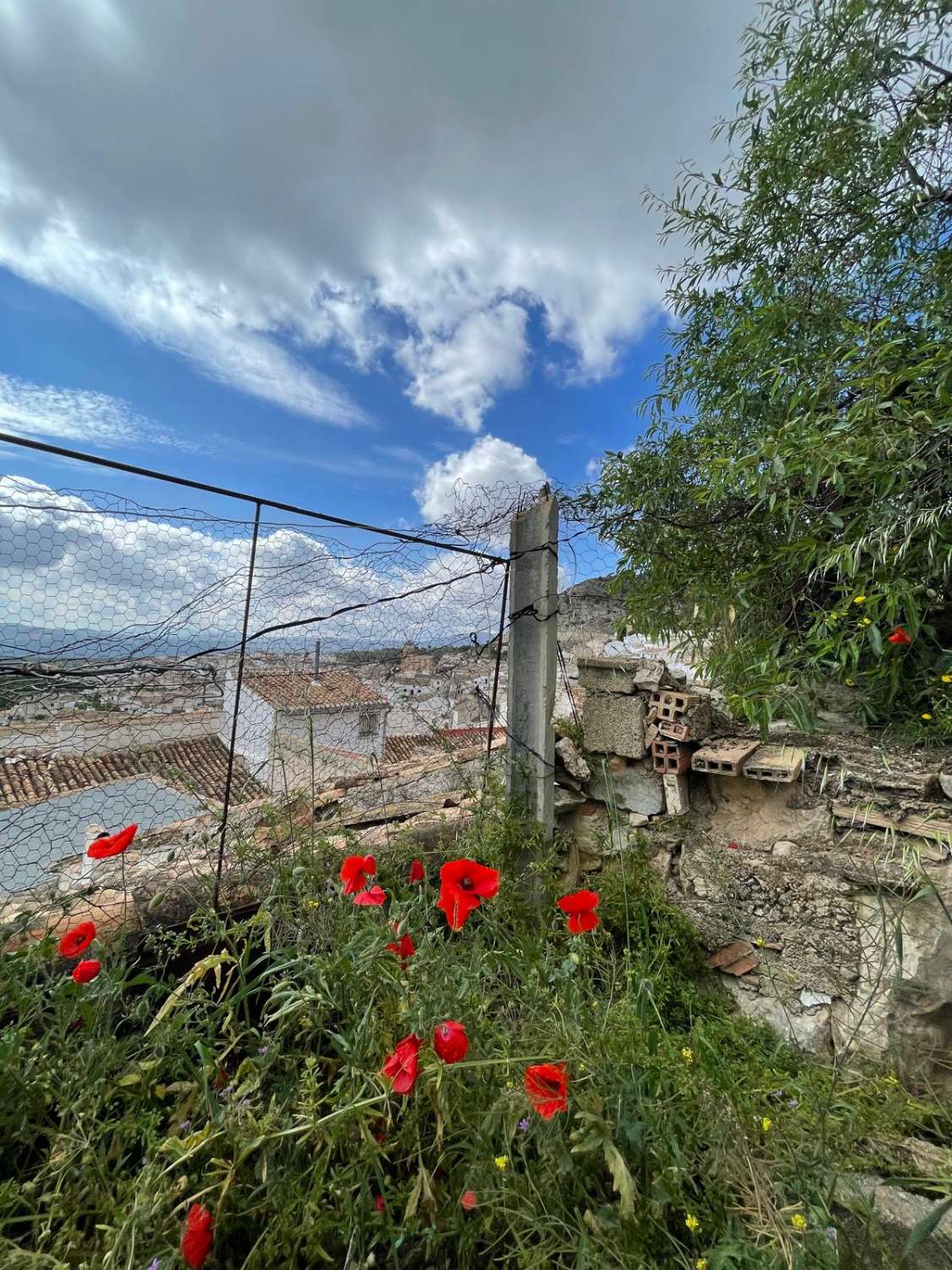 4 bed, 2 bath house with land going up into mountain