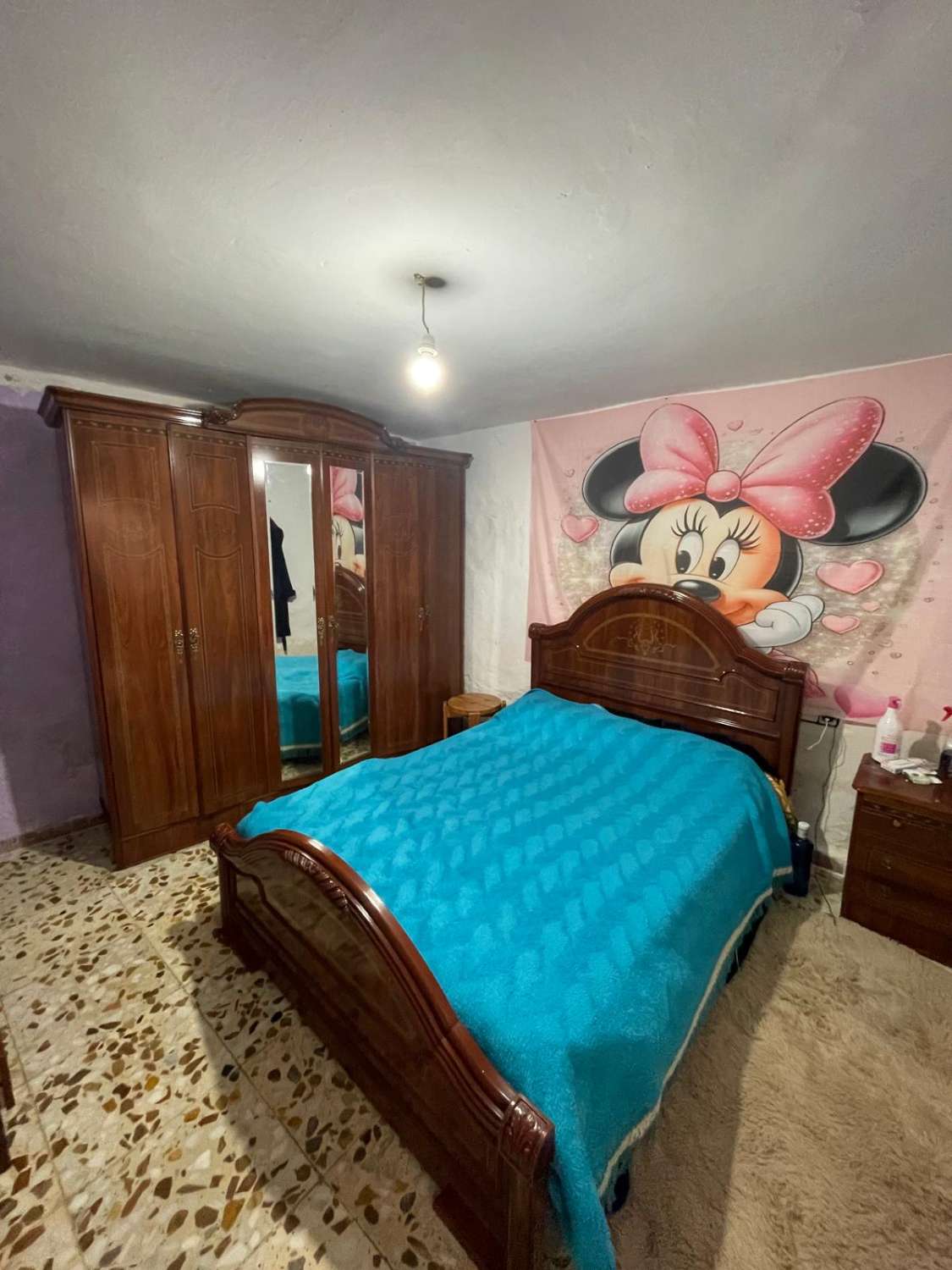 4 bed, 2 bath house with land going up into mountain
