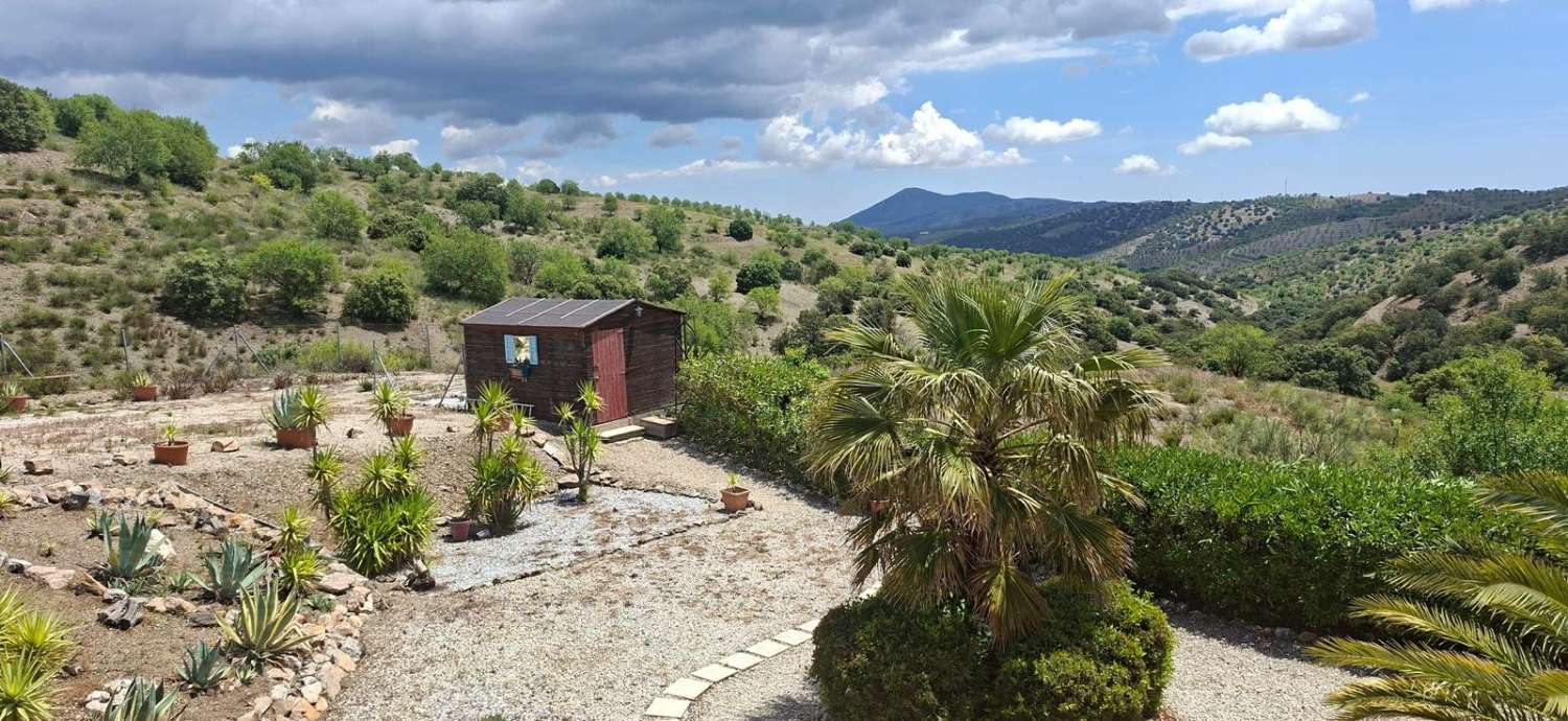 Stunning 4 bedroom, 3 bathroom house with pool near Vélez-Rubio with land