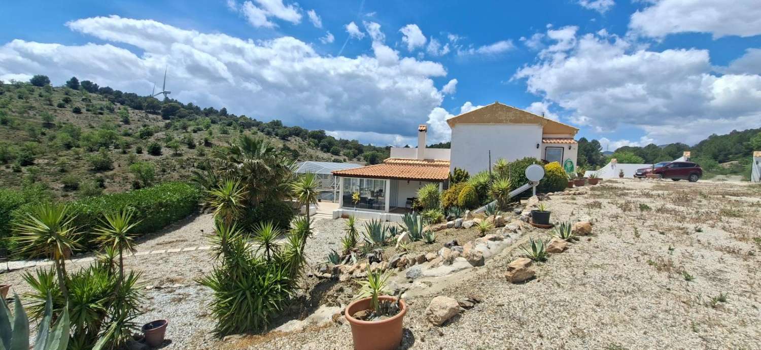 Stunning 4 bedroom, 3 bathroom house with pool near Vélez-Rubio with land
