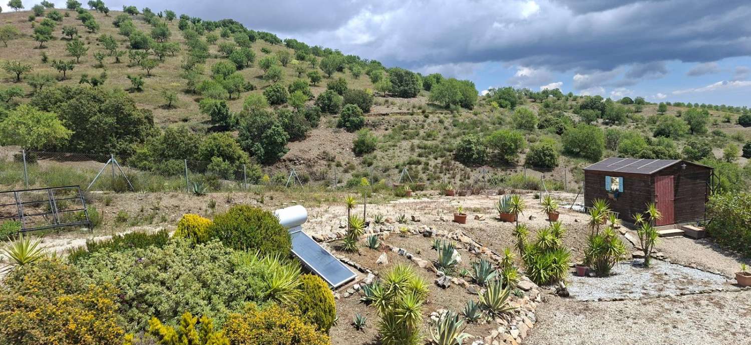 Stunning 4 bedroom, 3 bathroom house with pool near Vélez-Rubio with land