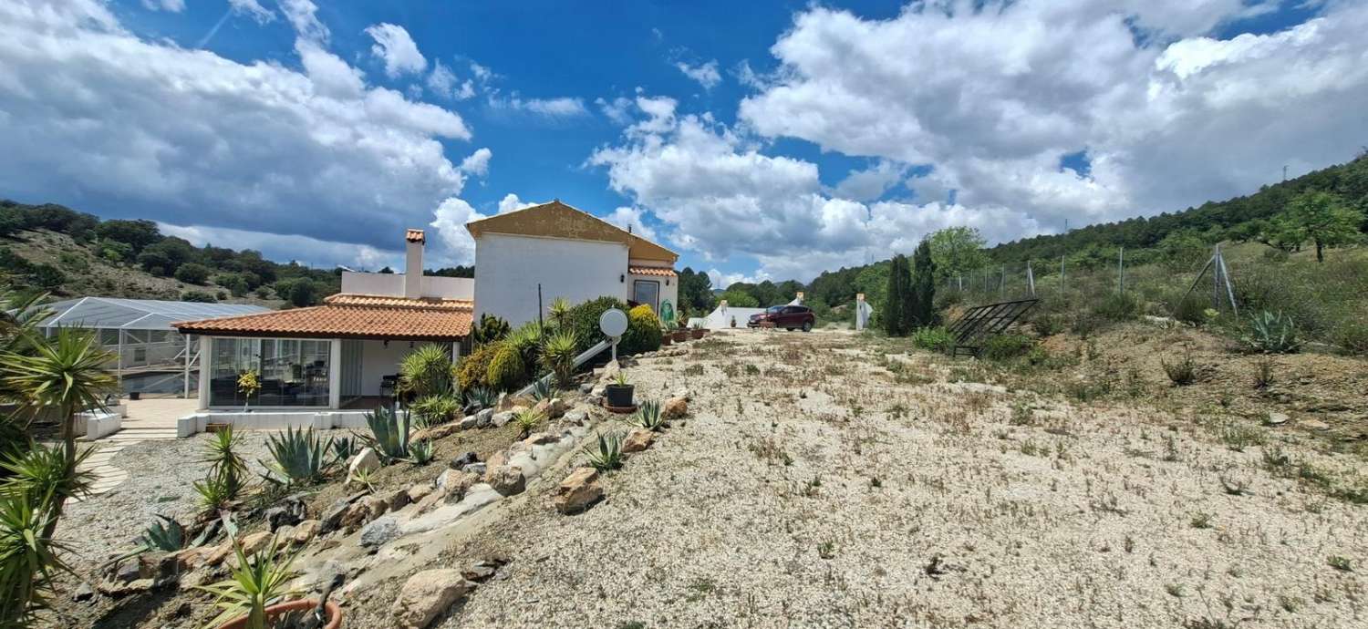 Stunning 4 bedroom, 3 bathroom house with pool near Vélez-Rubio with land