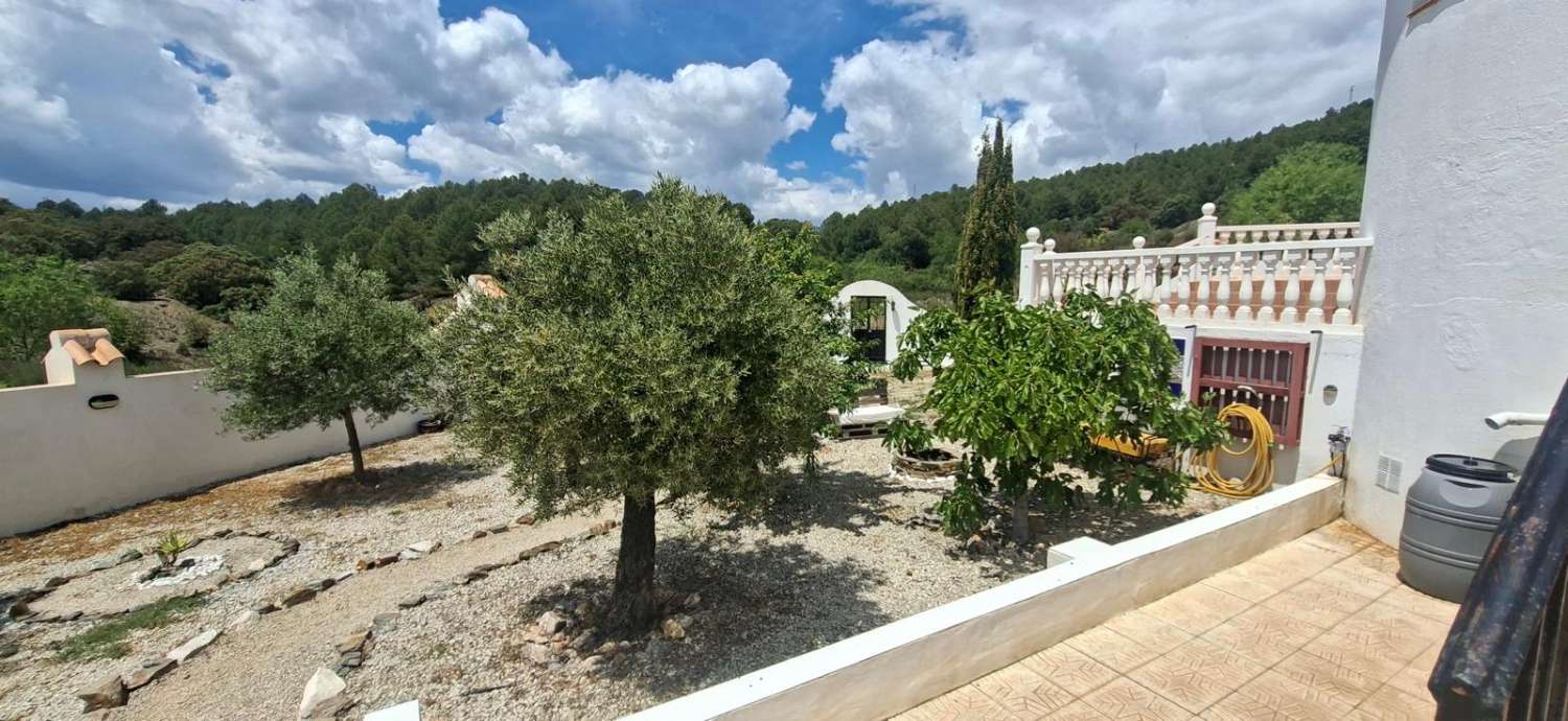 Stunning 4 bedroom, 3 bathroom house with pool near Vélez-Rubio with land