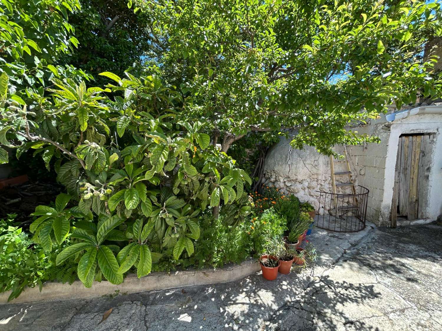 Great opportunity for a 3 bed house to live in and one to reform with garden