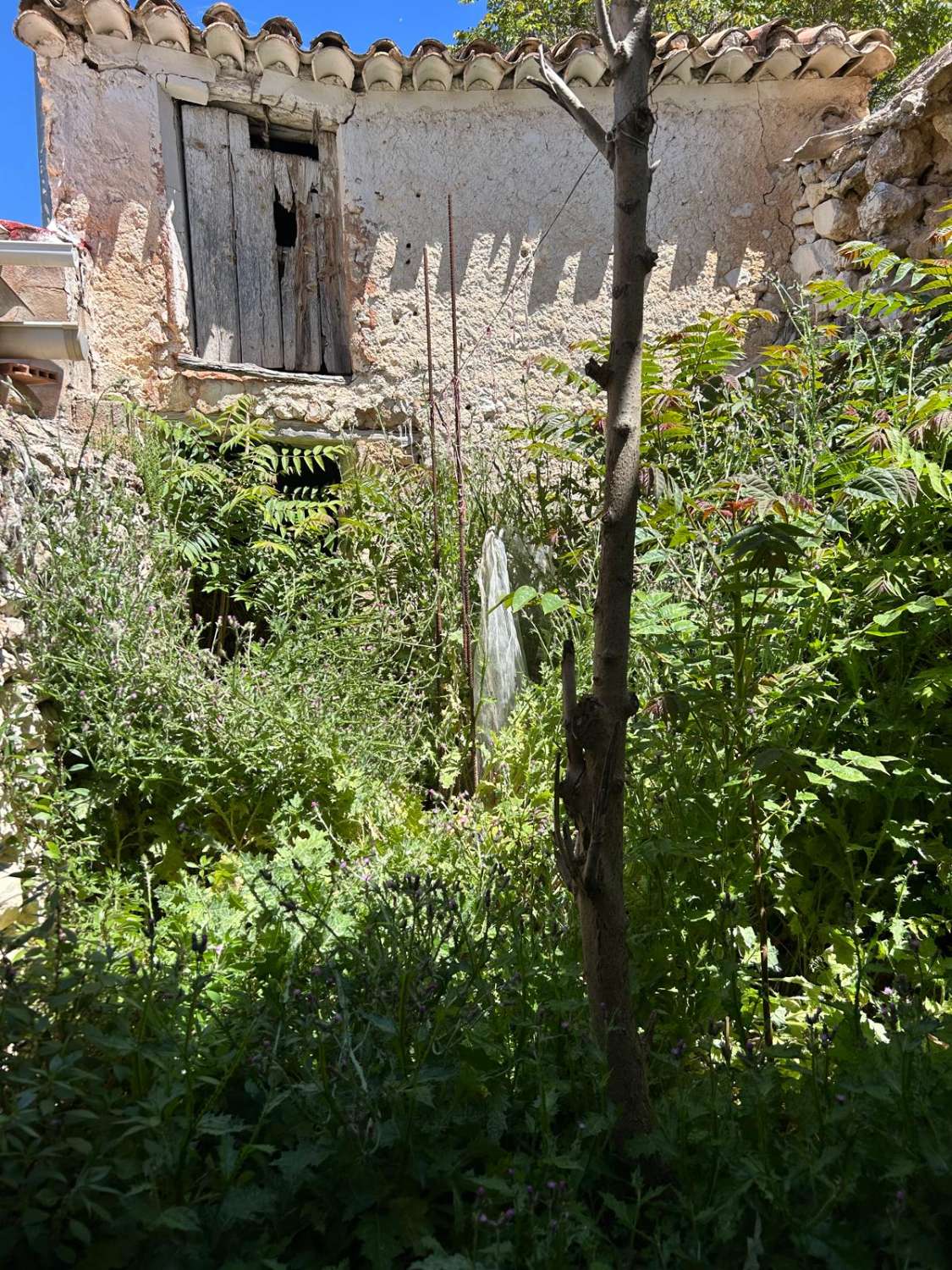 Great opportunity for a 3 bed house to live in and one to reform with garden