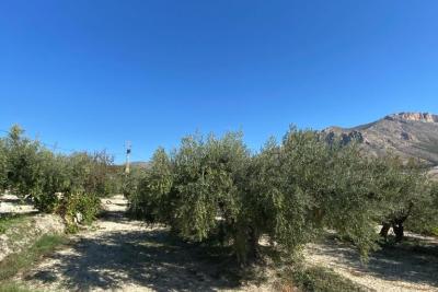 Cortijo for reform 2 beds with land.  Stunning location in Velez Blanco