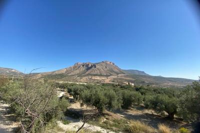 Cortijo for reform 2 beds with land.  Stunning location in Velez Blanco