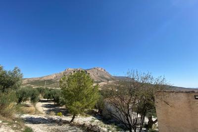 Wood shed, house to be finished  and land in stunning location of Velez Blanco