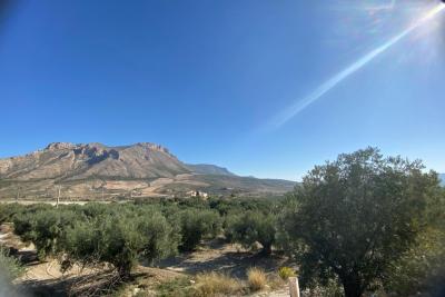 Wood shed, house to be finished  and land in stunning location of Velez Blanco