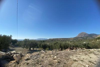 Wood shed, house to be finished  and land in stunning location of Velez Blanco