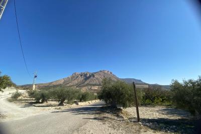 Wood shed, house to be finished  and land in stunning location of Velez Blanco