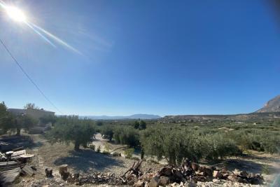 Wood shed, house to be finished  and land in stunning location of Velez Blanco