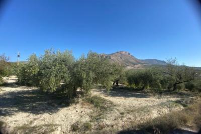 Wood shed, house to be finished  and land in stunning location of Velez Blanco