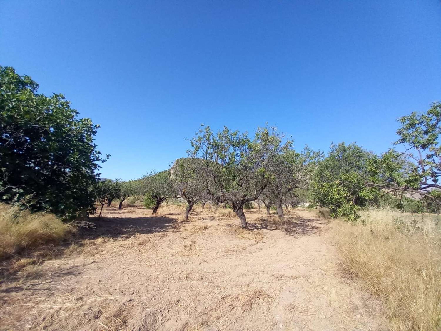Cortijo in Velez Rubio for reform with land in stunning location