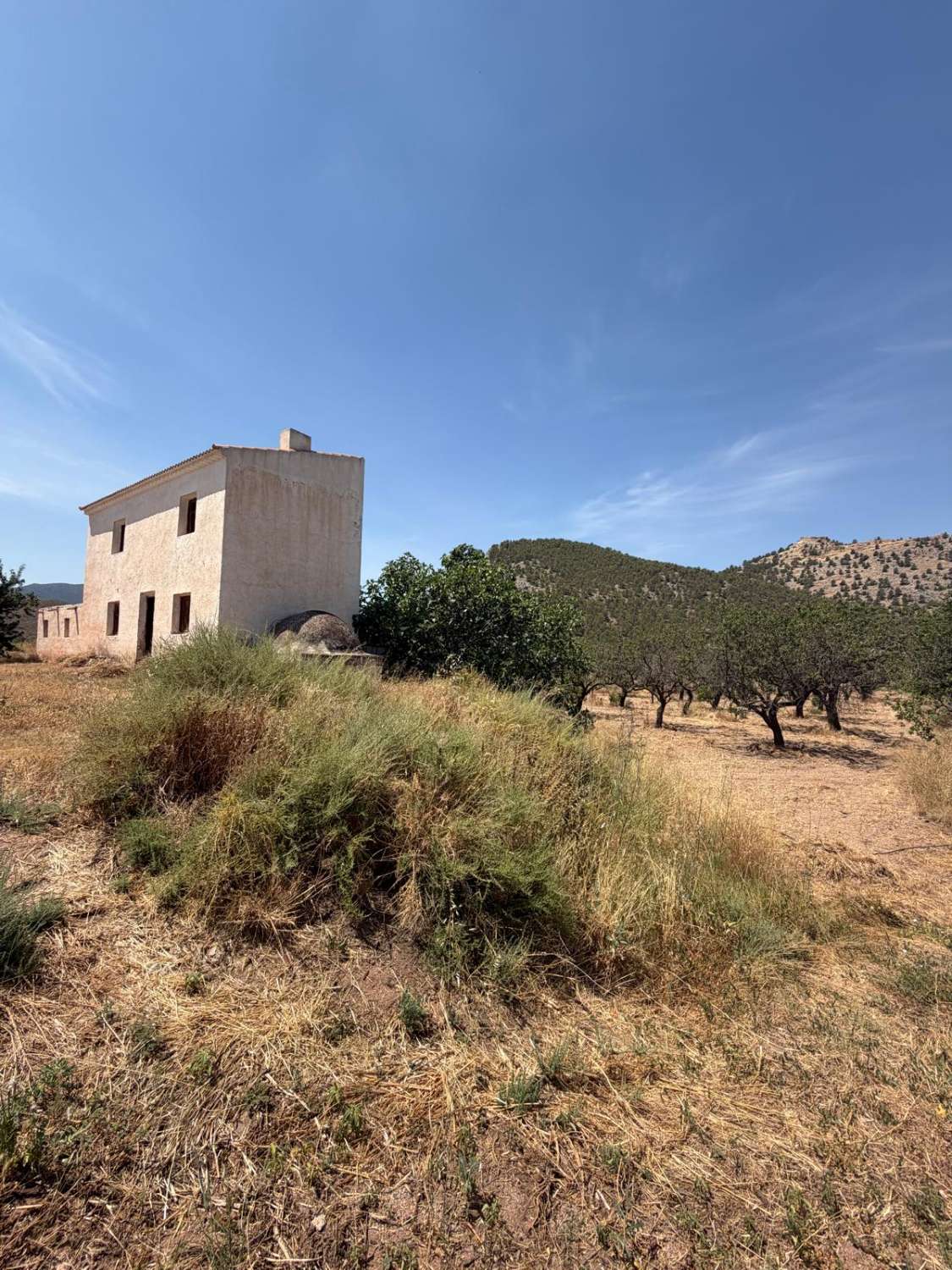 Cortijo in Velez Rubio for reform with land in stunning location