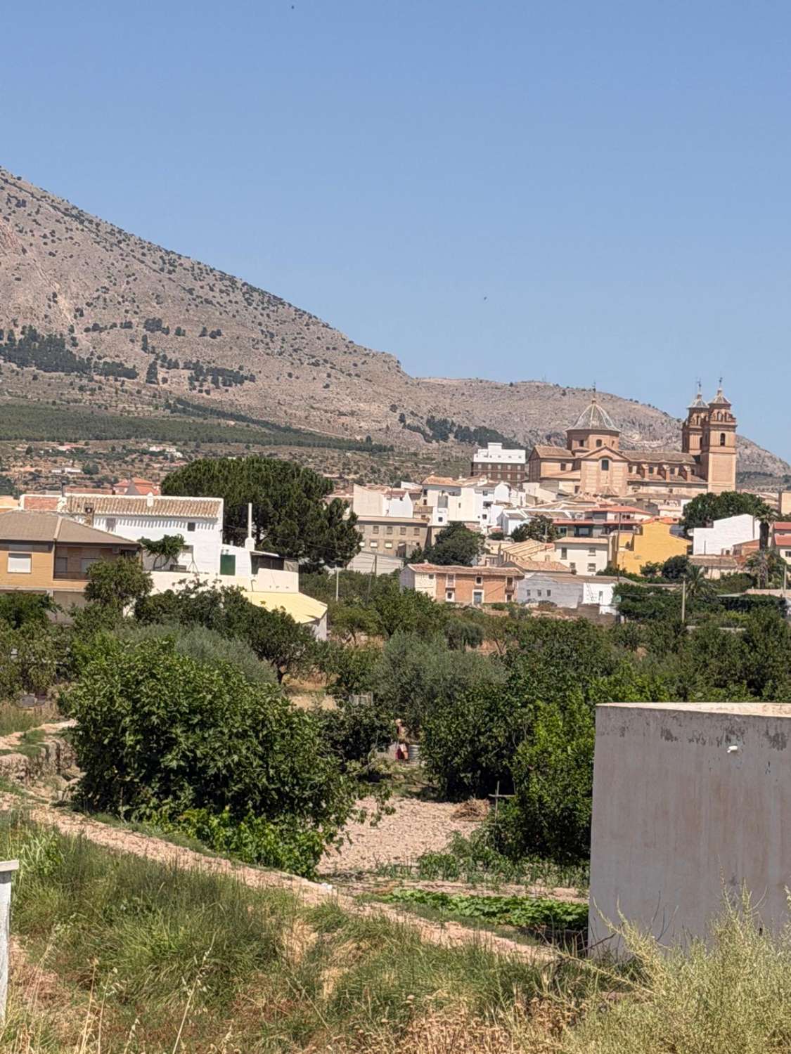Cortijo in Velez Rubio for reform with land in stunning location