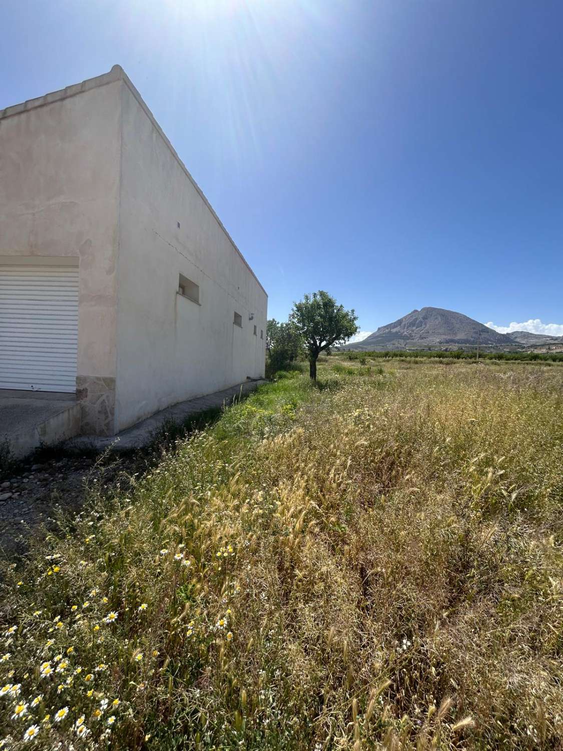 An Exceptional Country Estate in the Heart of Andalucía,  7 Beds, 4 baths, 2 Pools