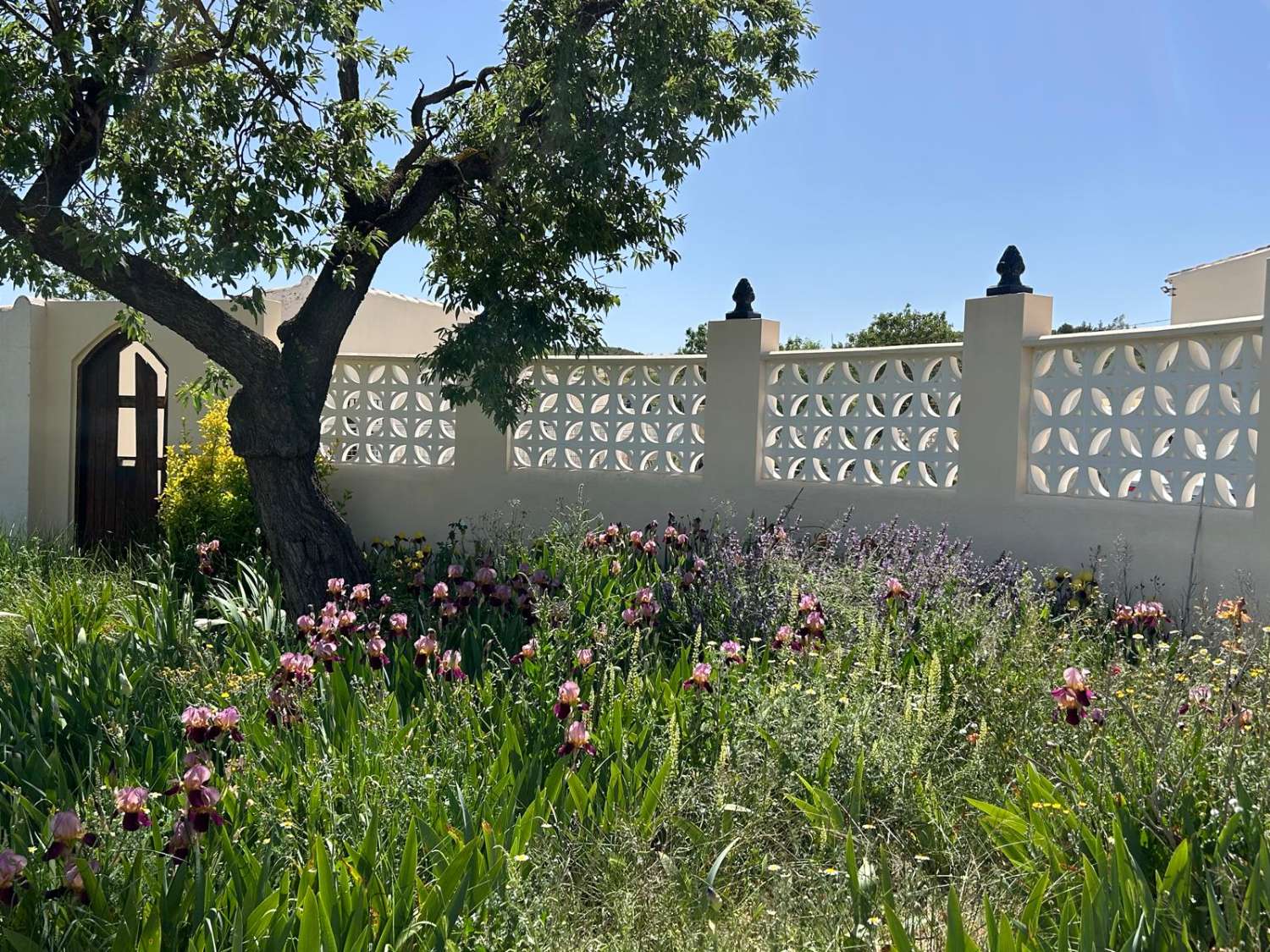 An Exceptional Country Estate in the Heart of Andalucía,  7 Beds, 4 baths, 2 Pools